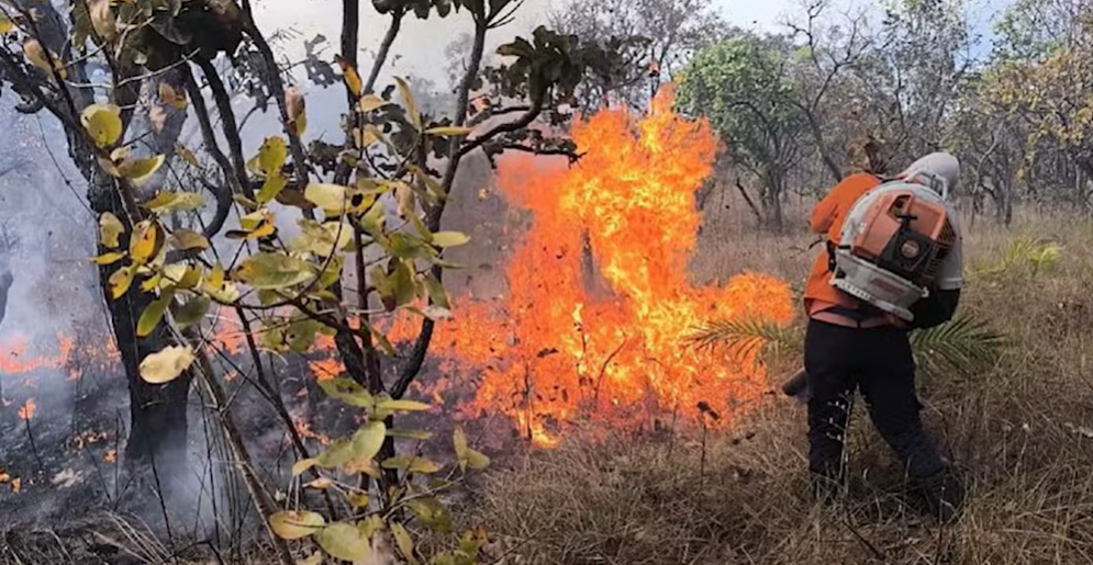 Incêndio gigante atinge Vila Agrotins e mobiliza Defesa Civil em Palmas