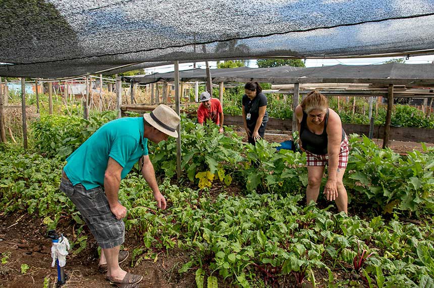 Hortas comunitárias vão transformar Palmas em referência de sustentabilidade e inclusão social
