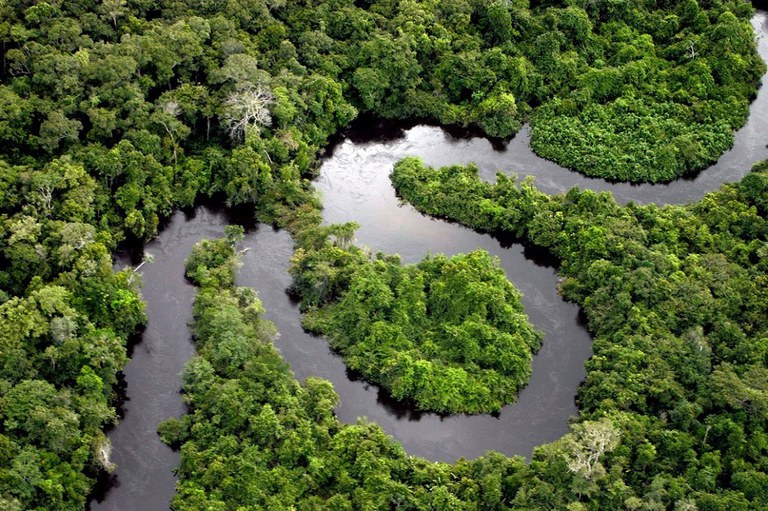 Territórios Sustentáveis: A Solução Amazônica que Protege os Biomas Brasileiros”