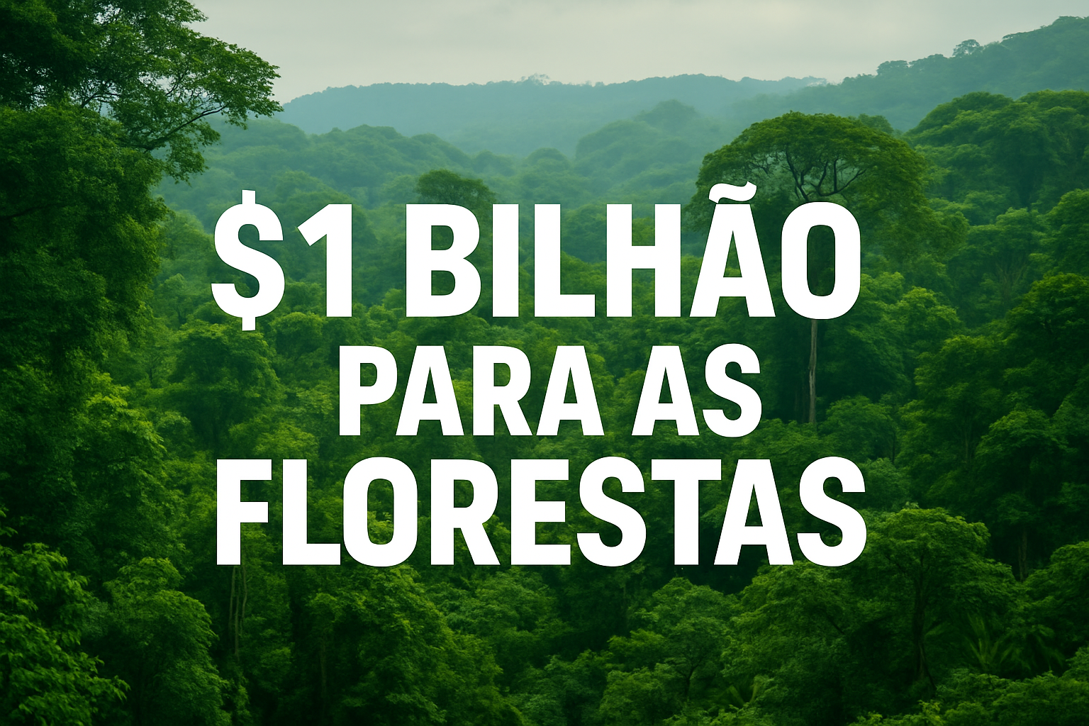 US$ 1 bilhão para as florestas: promessa, disputa e o desafio da transparência