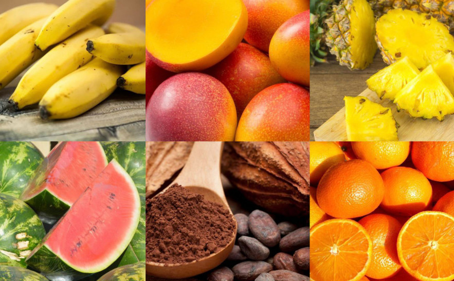 Descubra o Sabor do Tocantins: Inscrições Abertas para a 2ª Rota da Fruticultura!