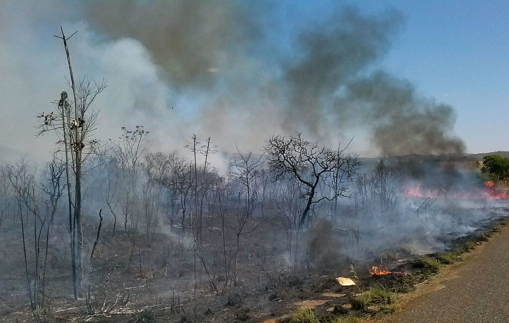 Incêndio às margens da TO-20 espalha fumaça e coloca motoristas em risco