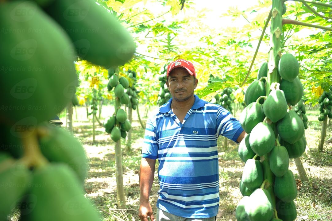 Tocantins transforma vidas com tecnologia e conhecimento no Projeto Manuel Alves