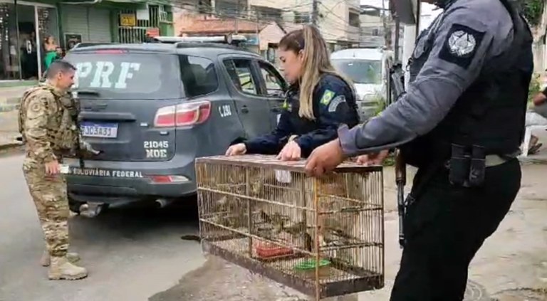 Bahia: Polícia prende um dos maiores traficantes de animais do Brasil