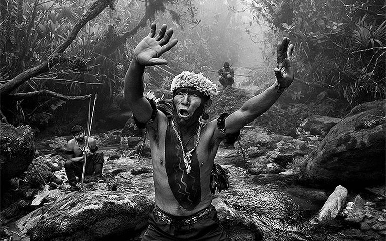 Museu das Amazônias abre as portas neste sábado e revela as muitas faces da maior floresta do planeta