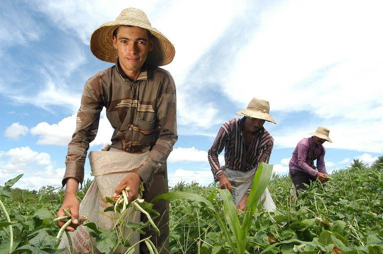 R$ 12 bilhões chegam para salvar o campo: produtores respiram aliviados”