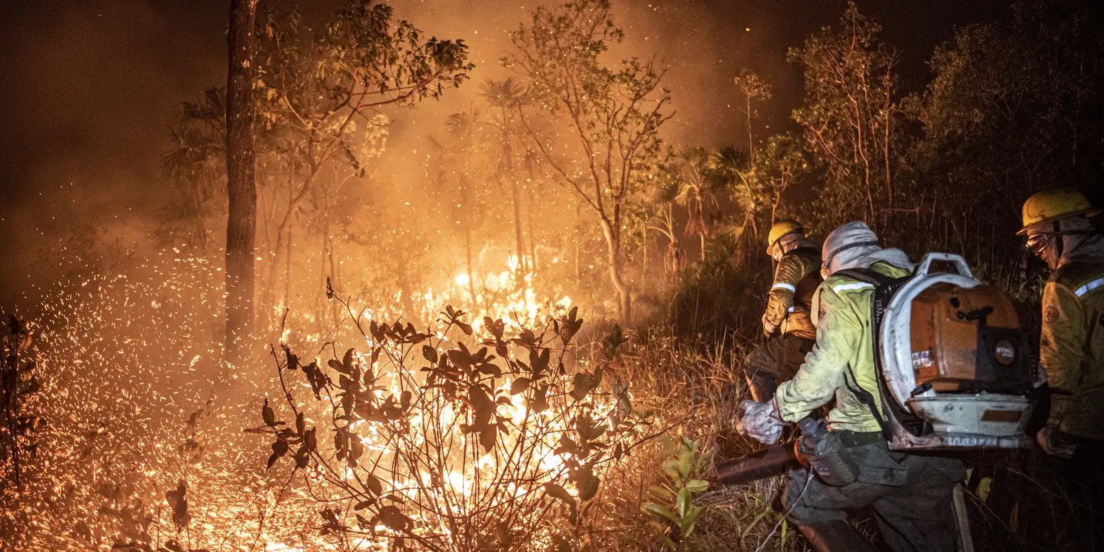 2024: Brasil em Chamas — Um Recorde Verde-Negro que Exige Resposta Global