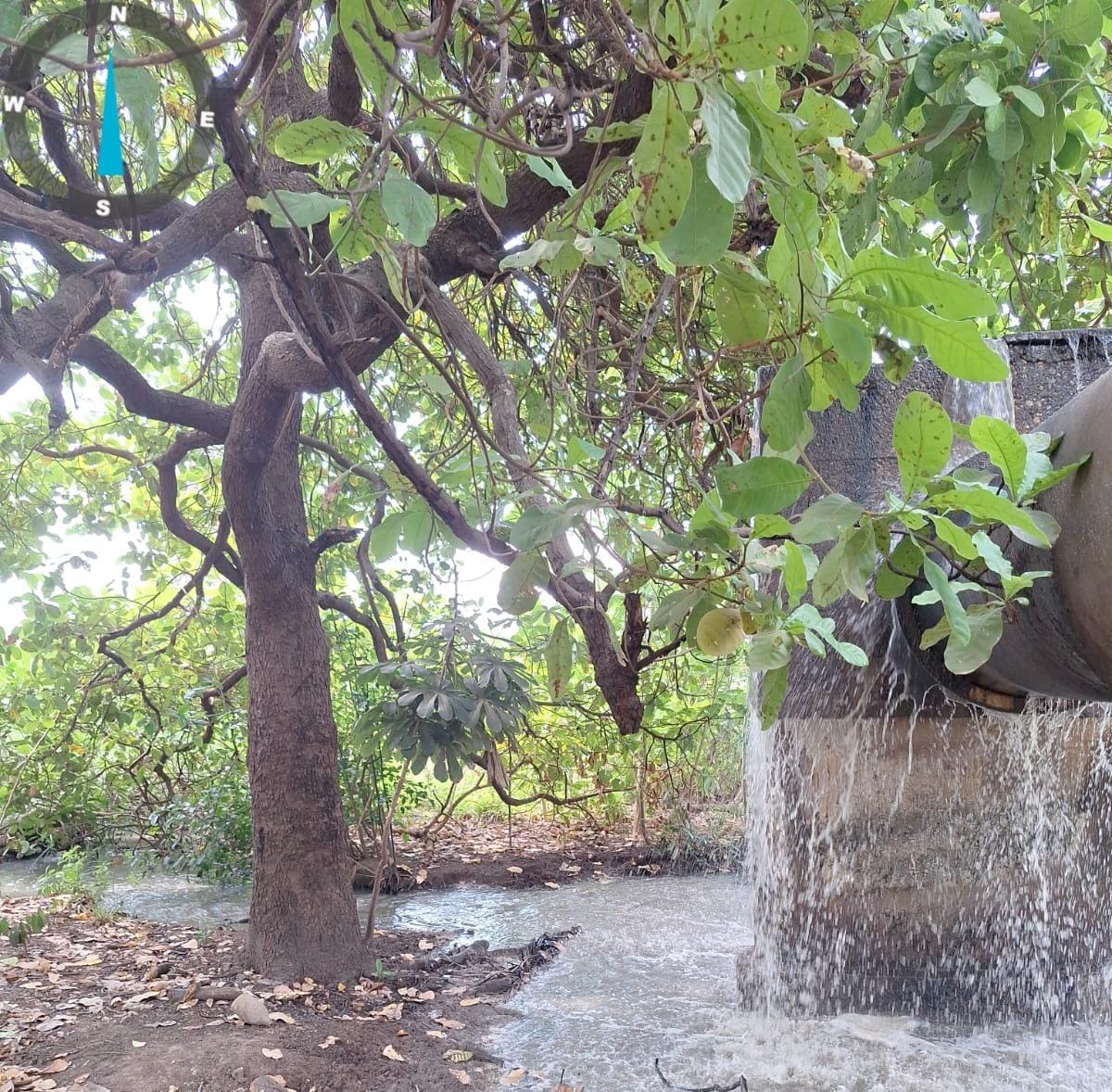 Esgoto à flor da terra: BRK é multada em quase R$ 1,8 milhão após novo vazamento atingir o Lago de Palmas