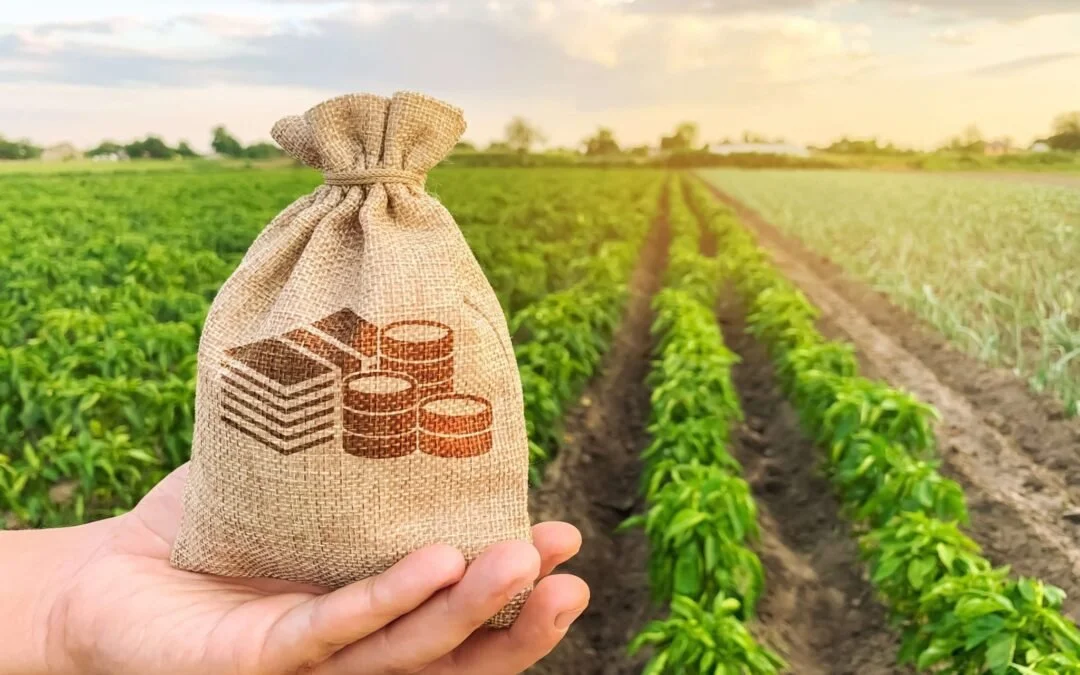 BNDES libera R$ 12 bilhões para salvar produtores rurais de perdas históricas de safra