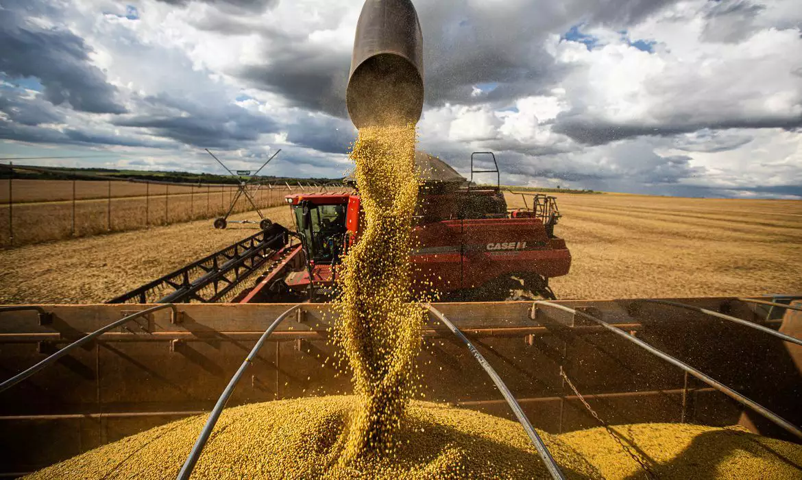 Super Safra Brasileira Assusta os EUA: Brasil Se Consolida Como Gigante Mundial do Agro