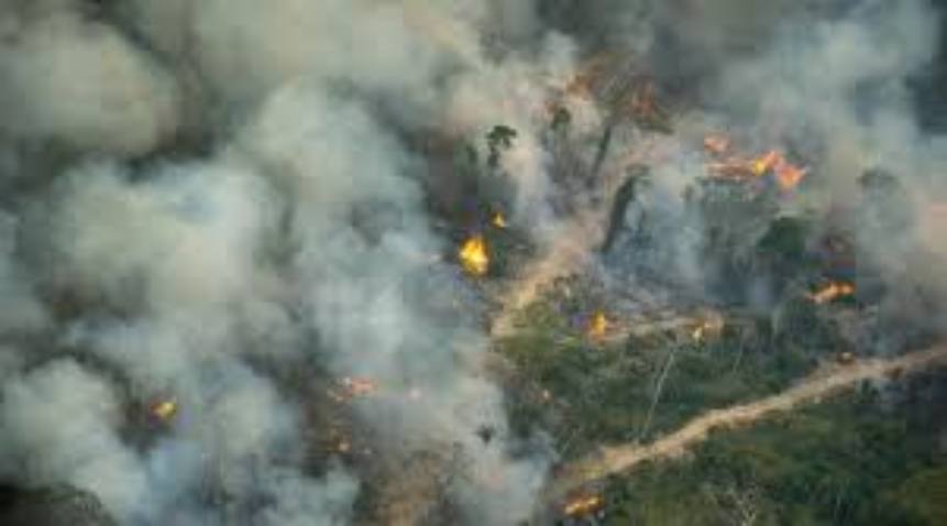 Captura de carbono na Amazônia está em risco, alerta estudo