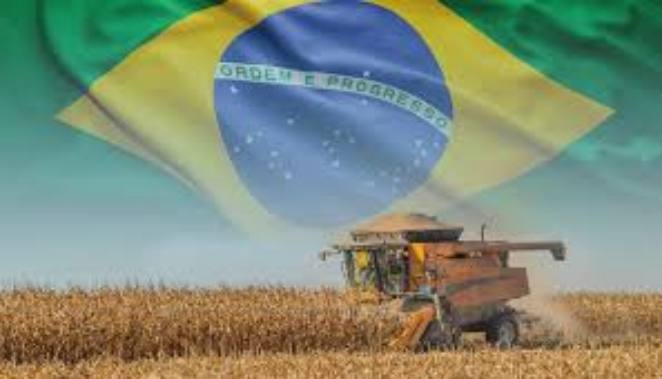 Brasil desafia hegemonia dos EUA e consolida sua força como potência agrícola global