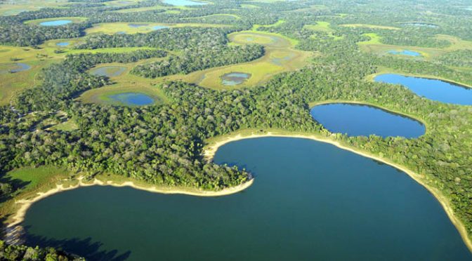 AGU consegue decisões históricas para proteger o Pantanal e a Mata Atlântica