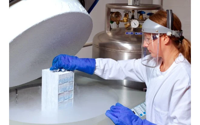 A tentação de editar o futuro: quando a ciência cruza a linha da intenção para tocar o destino