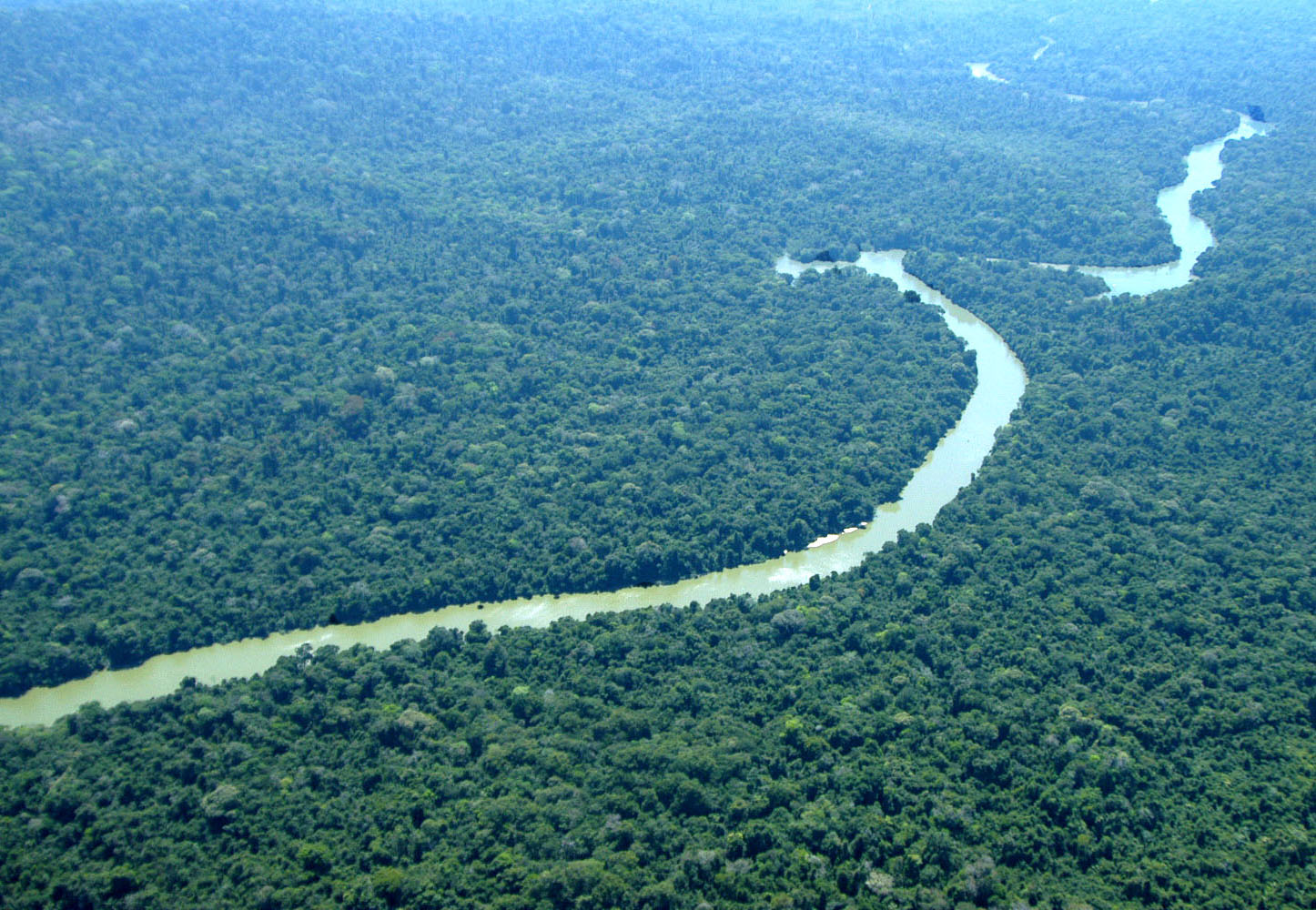 Fundo global para florestas chega a US$ 5,5 bilhões; povos indígenas devem apresentar projetos