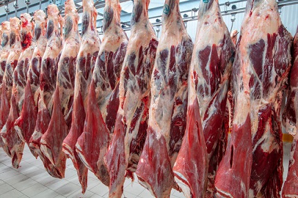 Brasil ultrapassa EUA e assume liderança global na produção de carne bovina