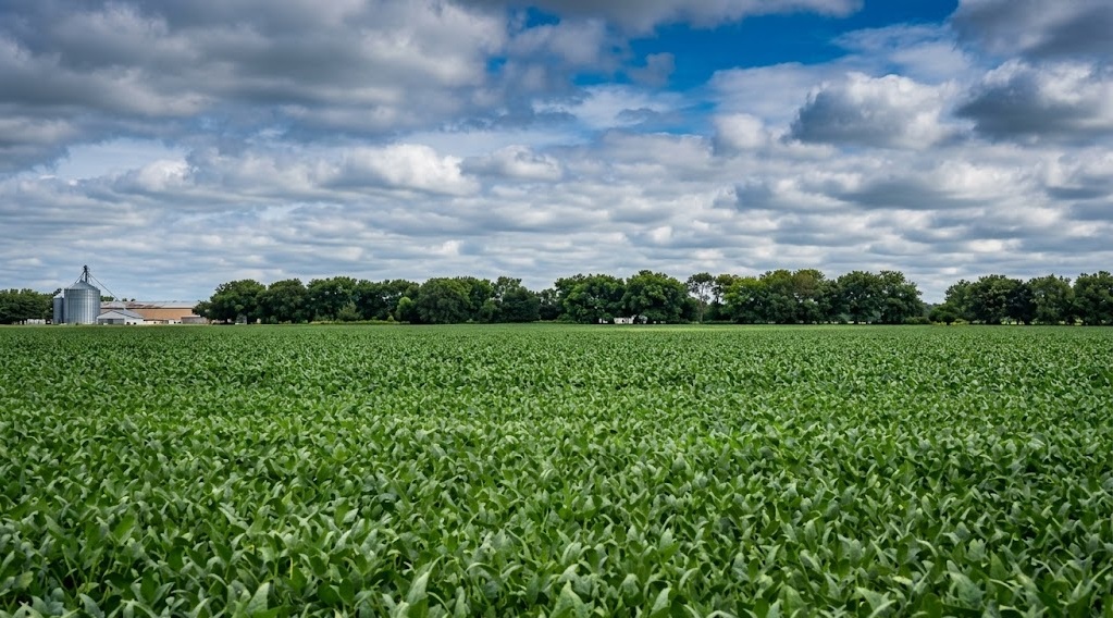 Soja, milho e agricultura familiar movimentam o campo em Aparecida do Rio Negro