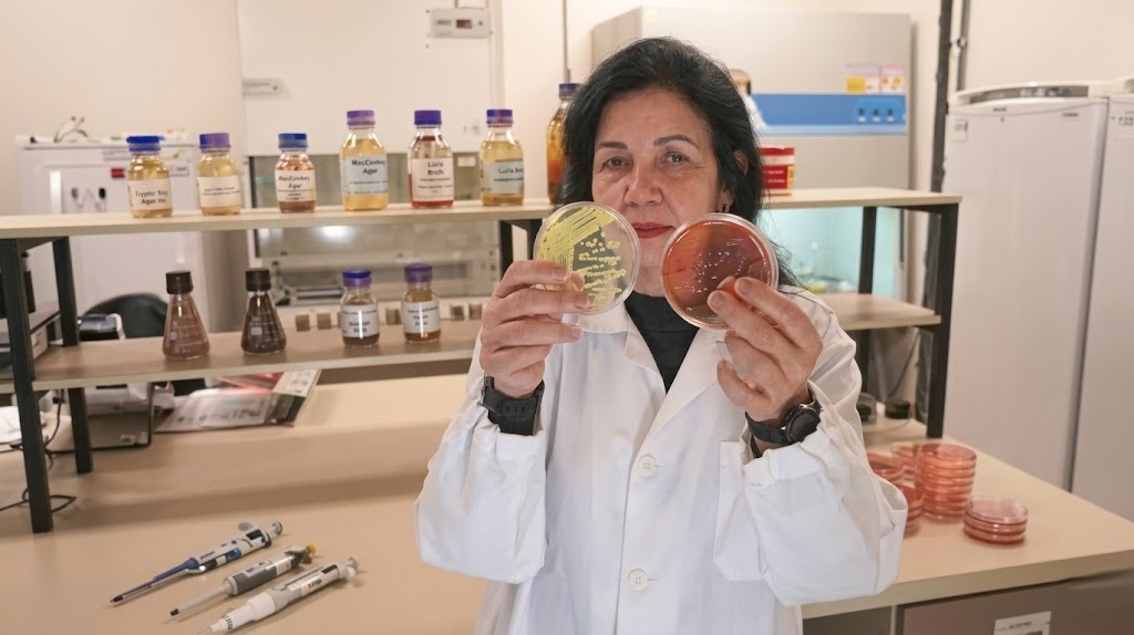 O Brilho da Ciência Brasileira: Mariangela Hungria e a Revolução Biotecnológica