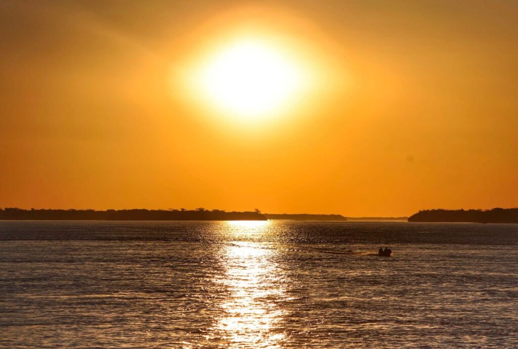 Palmas e as Ondas de Calor Cada Vez Mais Extremas